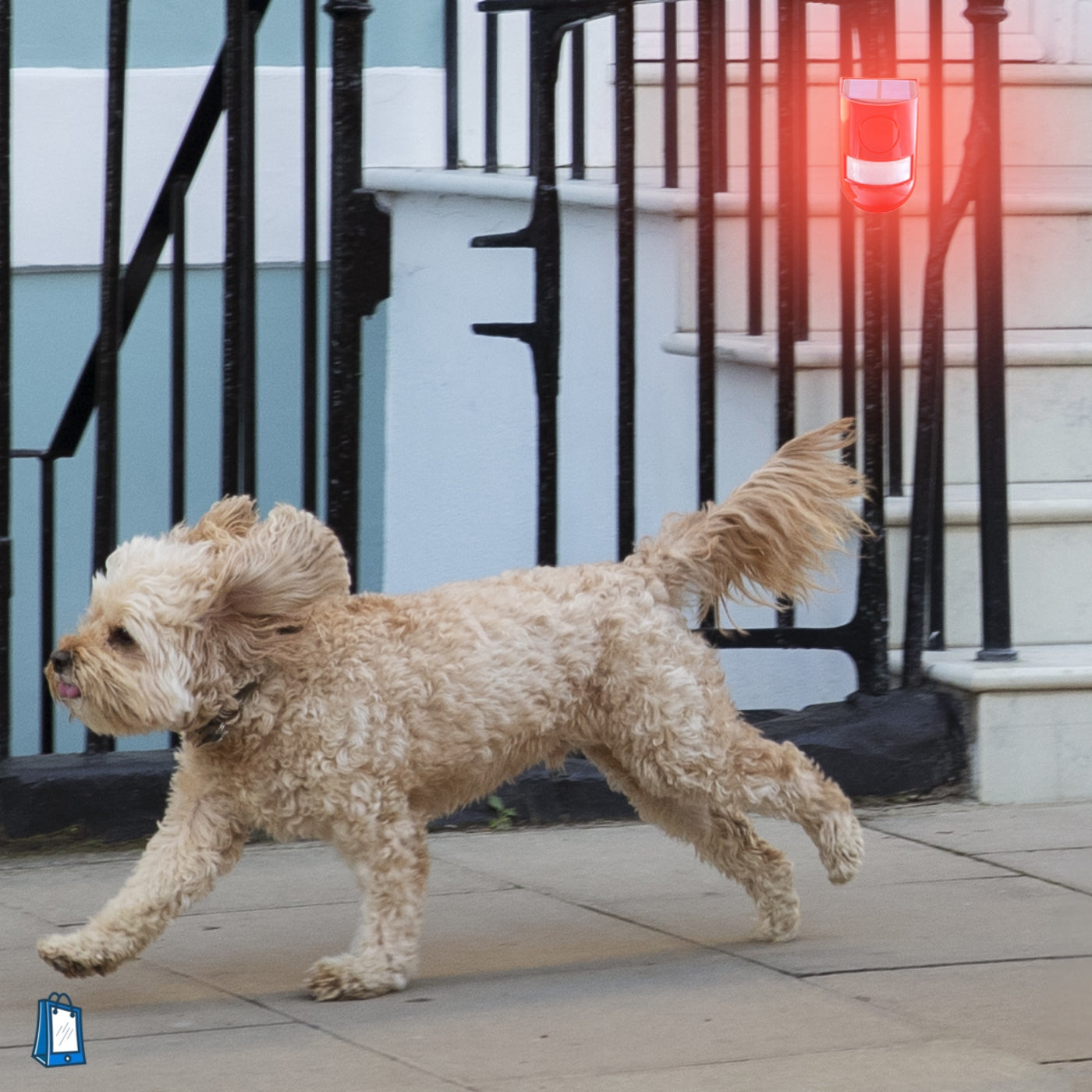 Solar Sound Alarm for Dogs - Motion-Activated Dogs Repeller