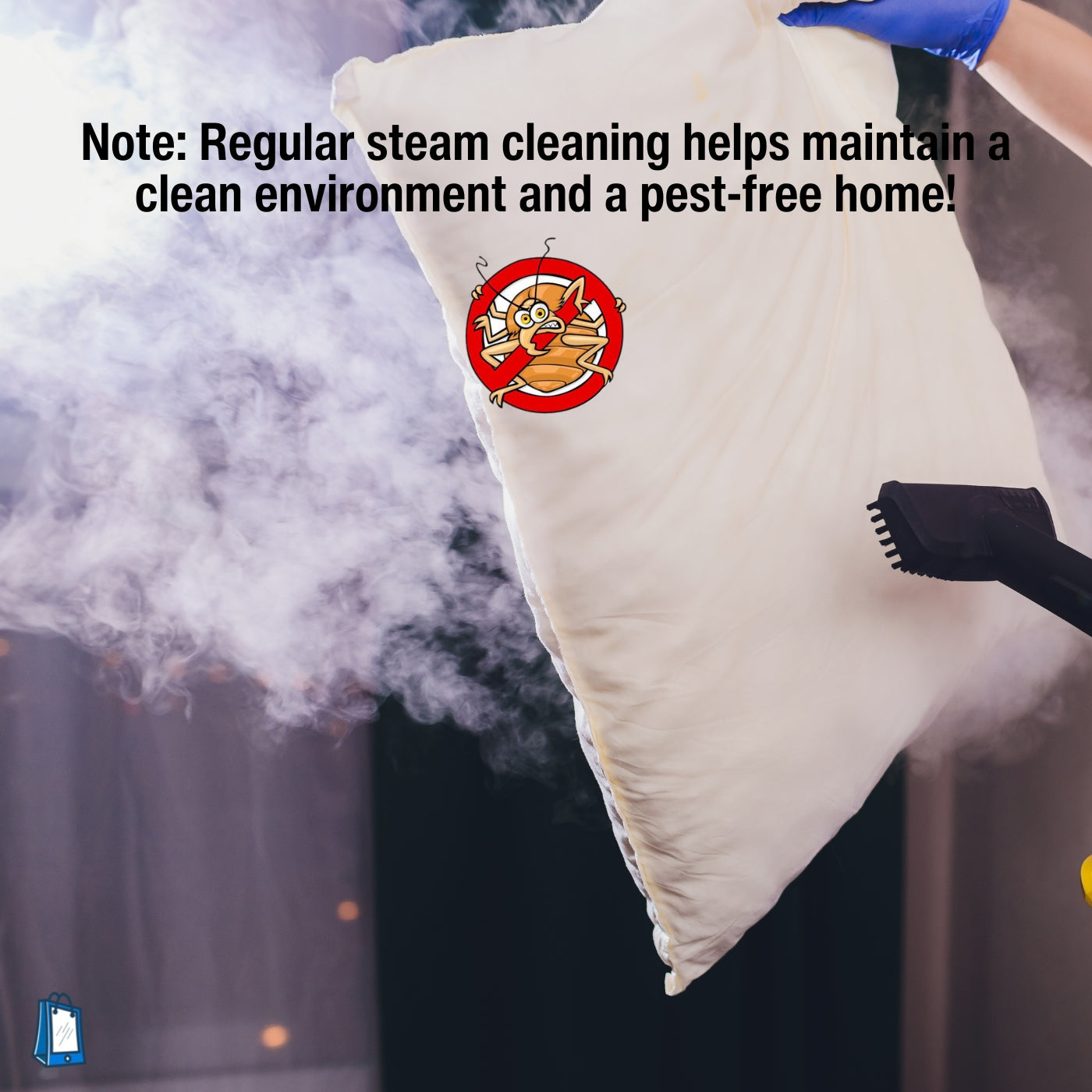 Handheld Steam Cleaner for Bed Bugs - Get Rid of Bed Bugs in 7 Days