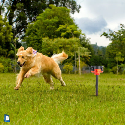 Strobe Light for Dogs - Motion Detector Dogs Repeller