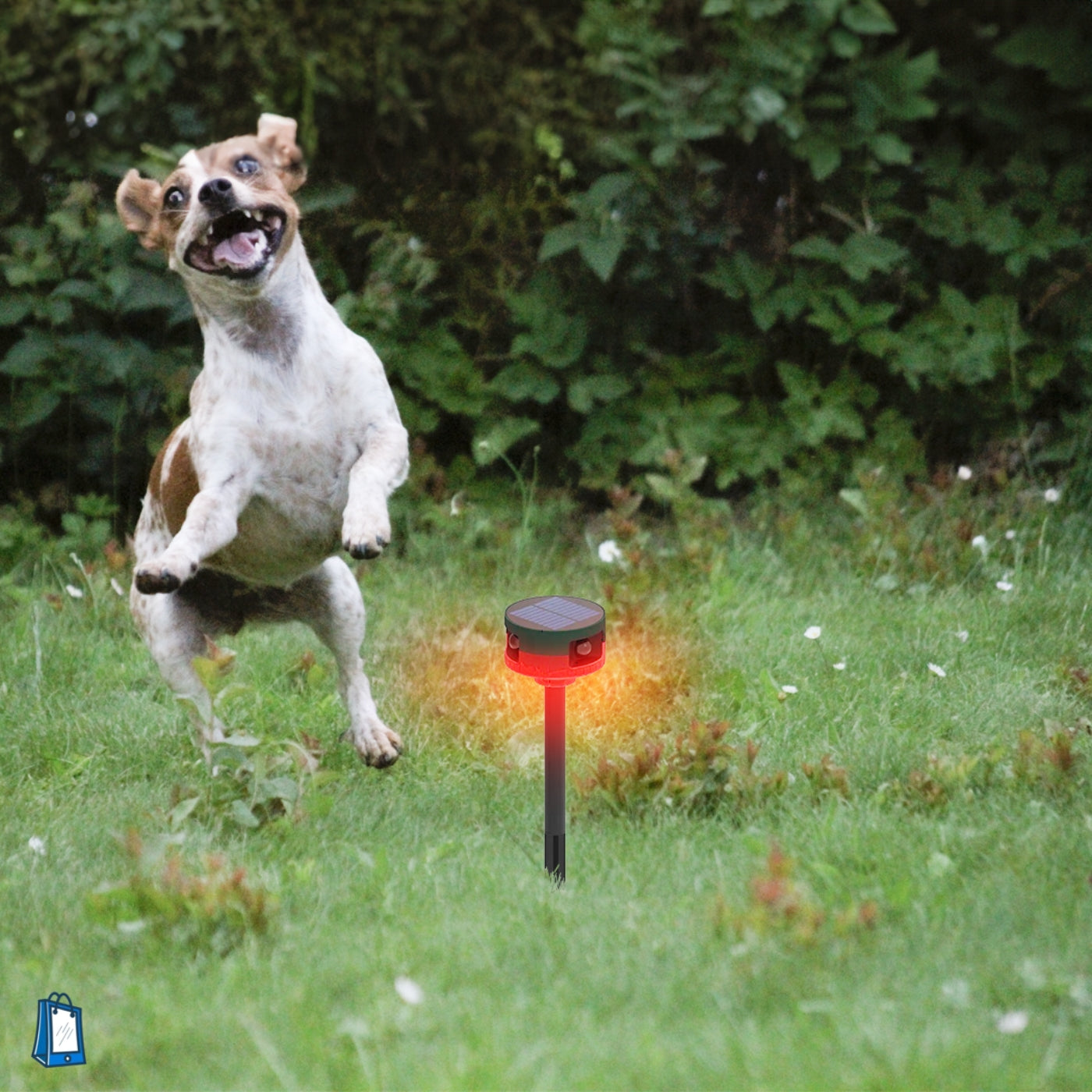 Strobe Light for Dogs - Motion Detector Dogs Repeller