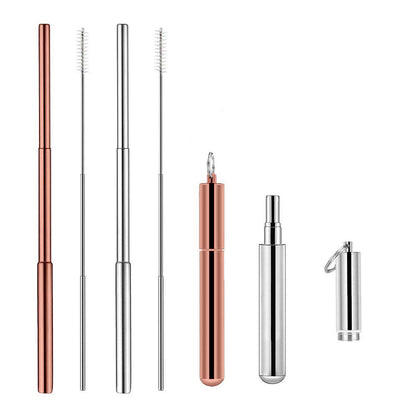 Ozetti Portable Reusable Drinking Straws 2 Sets