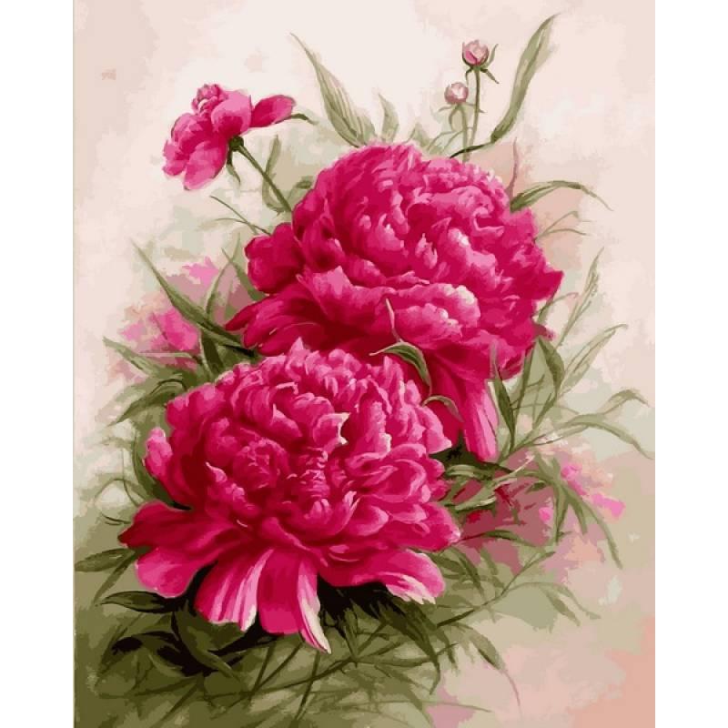 DIY Paint by Numbers Canvas Painting Kit - Red Roses Painting