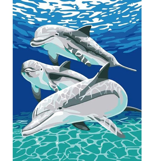 DIY Paint by Numbers Canvas Painting Kit - Dolphins