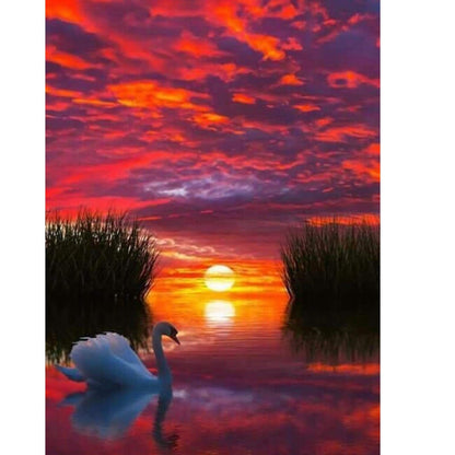 DIY Paint by Numbers Canvas Painting Kit - Red Sunset Swan