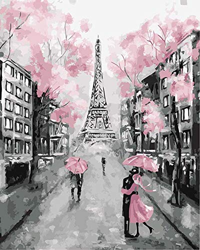 Paint by Numbers Kit - Paris