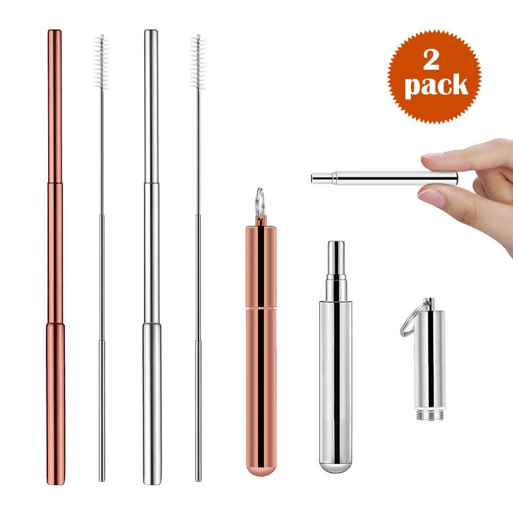 Ozetti Portable Reusable Drinking Straws 2 Sets