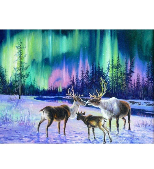 DIY Paint by Numbers Canvas Painting Kit - Deers and Northern Lights