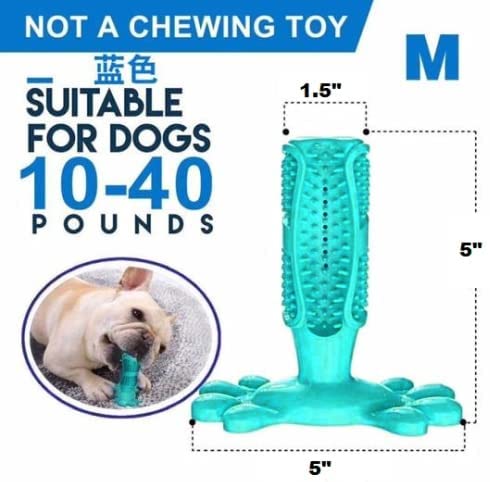 Dog Toothbrush Chew Toy - For Dogs of 10-40 lbs - Blue