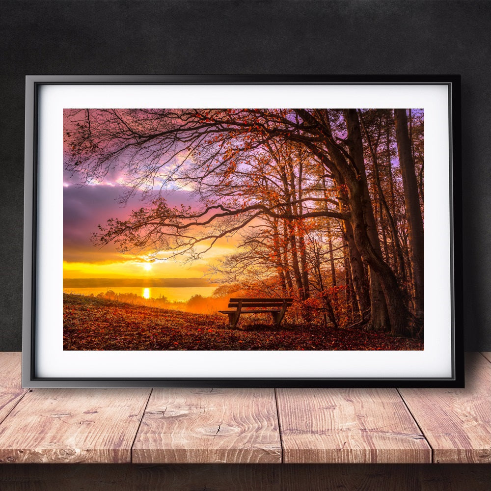 DIY Paint by Numbers Canvas Painting Kit - Lonely Bench Sunset