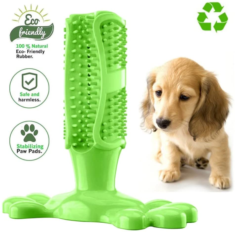 Dog Toothbrush Chew Toy - For Dogs of 40-80 lbs - Green