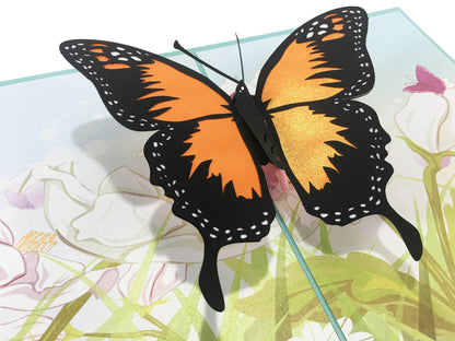 3D Orange Butterfly Pop Up Card and Envelope