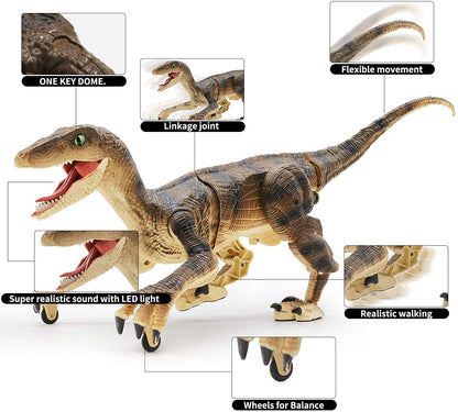 Kiddro Remote Control Dinosaur Toy