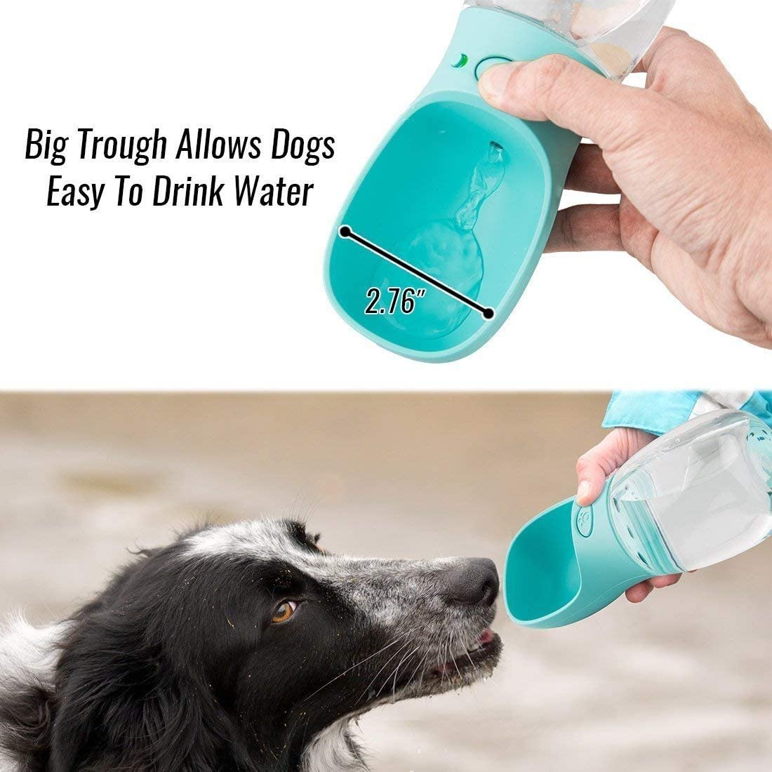 Dog 12oz Water Bottle