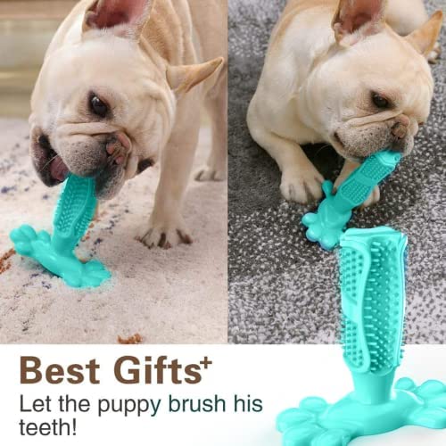 Dog Toothbrush Chew Toy - For Dogs of 10-40 lbs - Blue