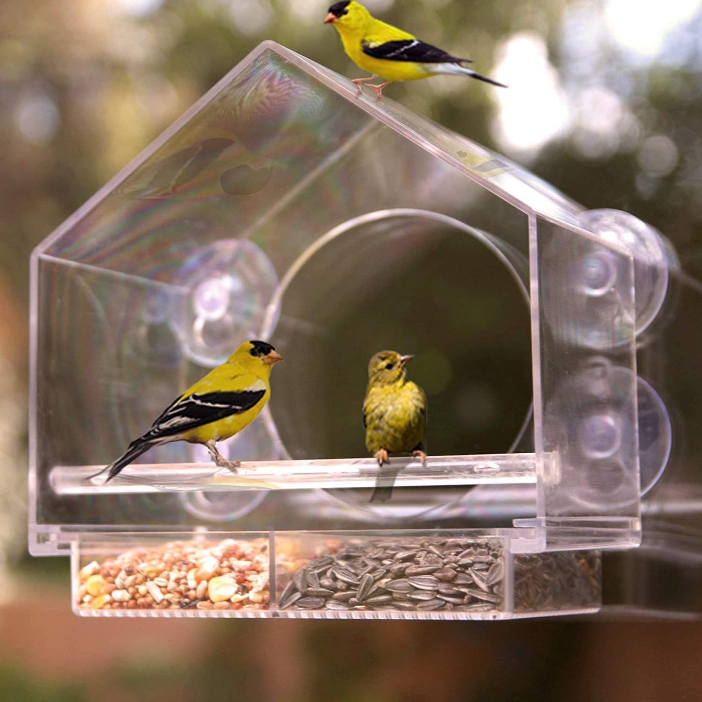 Window Bird House Feeder - Sliding Seed Tray Holder Birdhouse Shape - For Wild Birds - 4 Extra Suction Cups