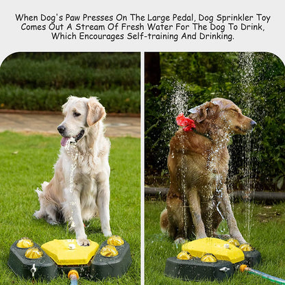 Dog Sprinkler - Outdoor Canine Water Fountain