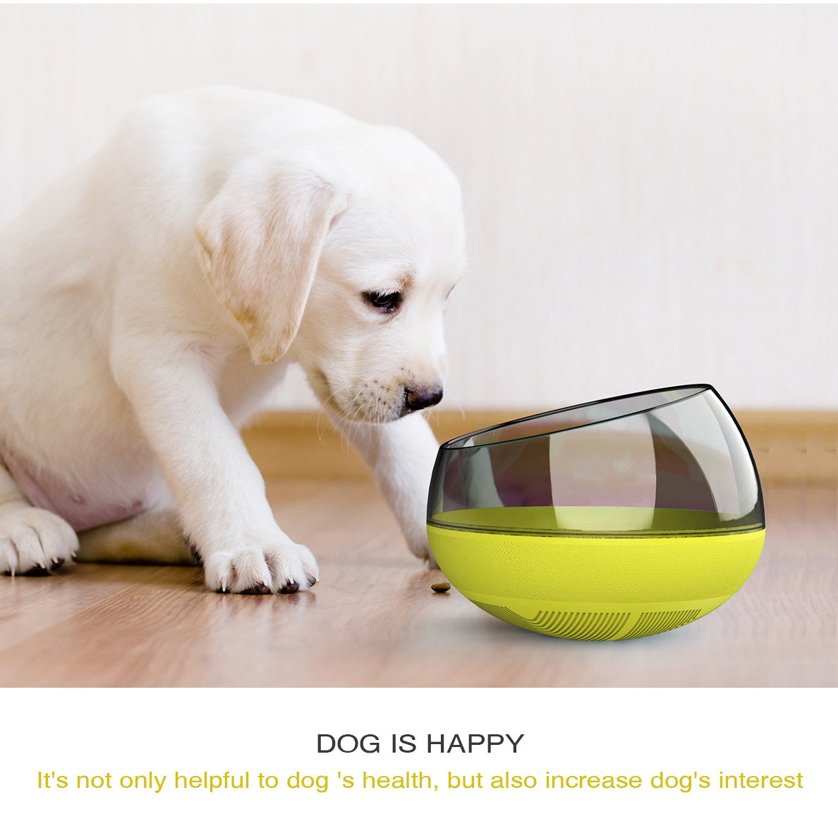 Slow Feeder Dog Bowl