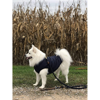 Double Layer Fleece Warm Dog Jacket Coat Vest - Blue