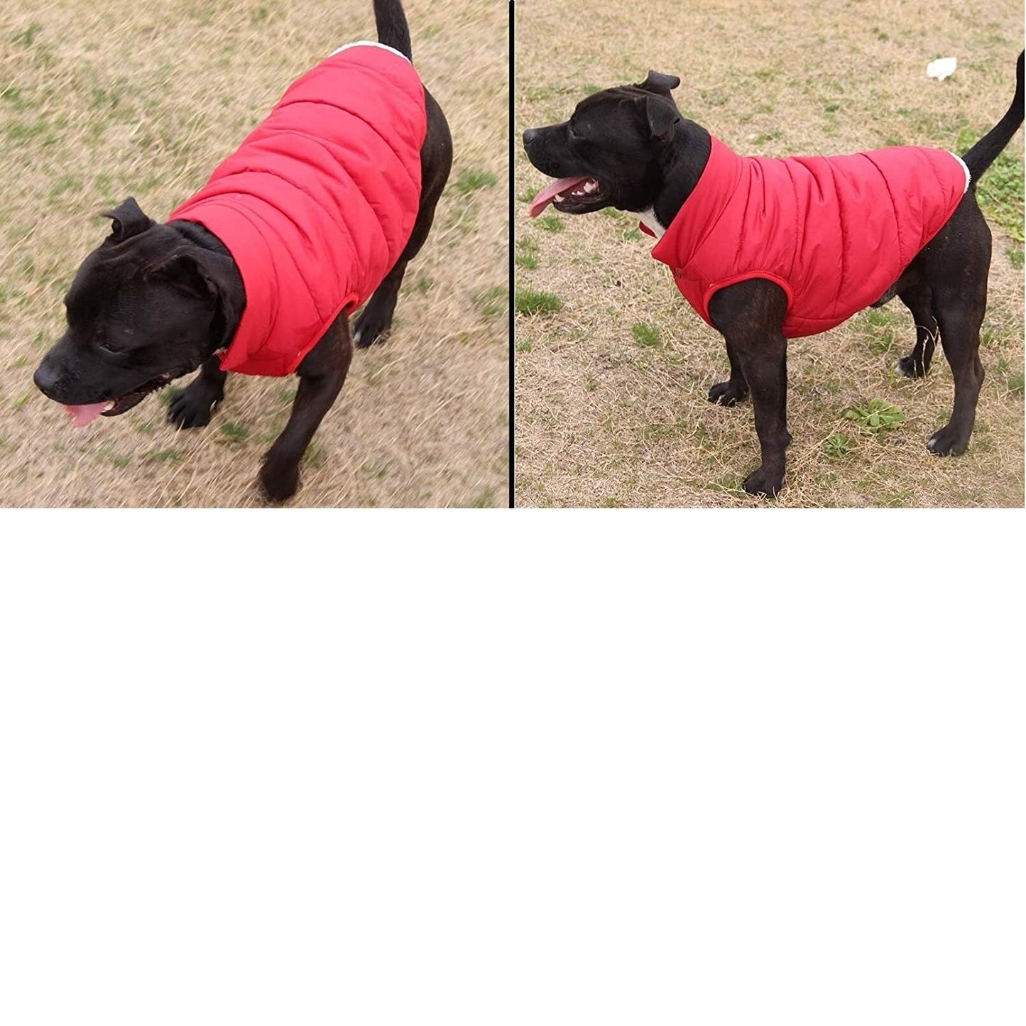 Double Layer Fleece Warm Dog Jacket Coat Vest - RED