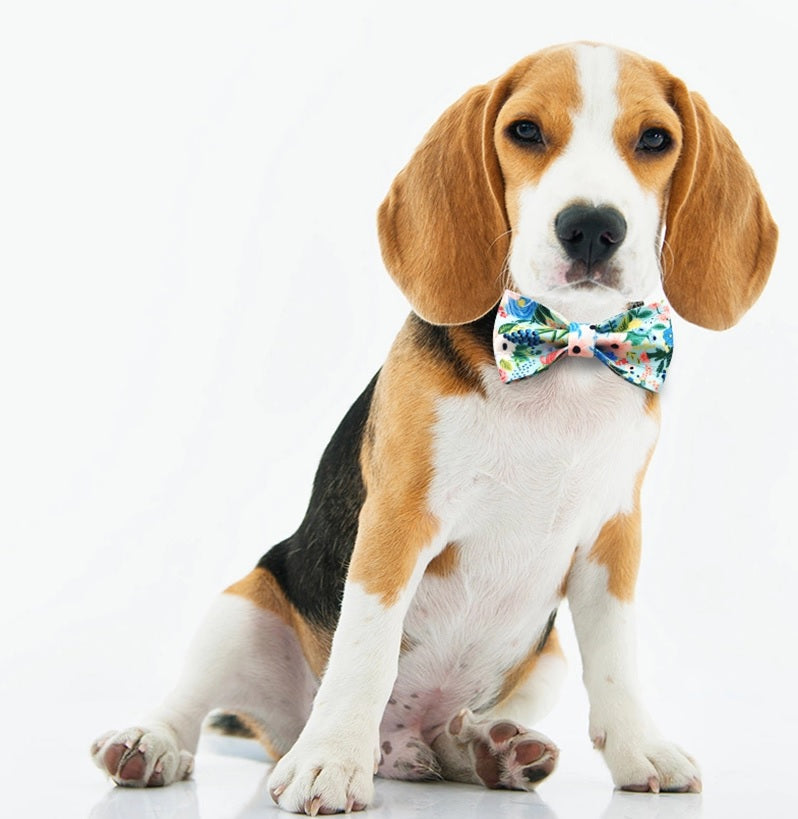 Dog and Cat Comfortable Collar with Bowtie Neck Tie