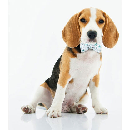 Dog and Cat Comfortable Collar with Bowtie Neck Tie