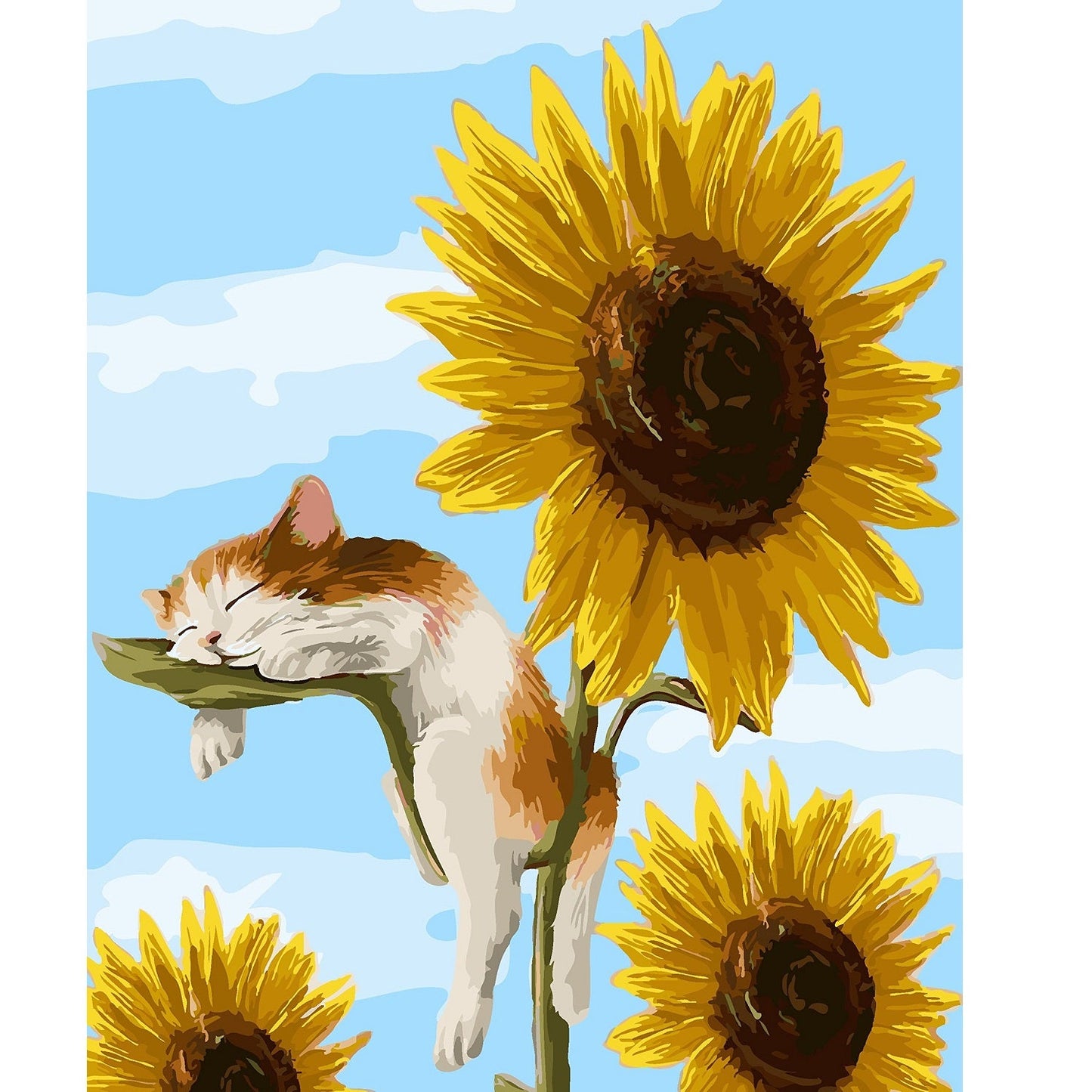 DIY Paint by Numbers Canvas Painting Kit - Cat and Sunflower