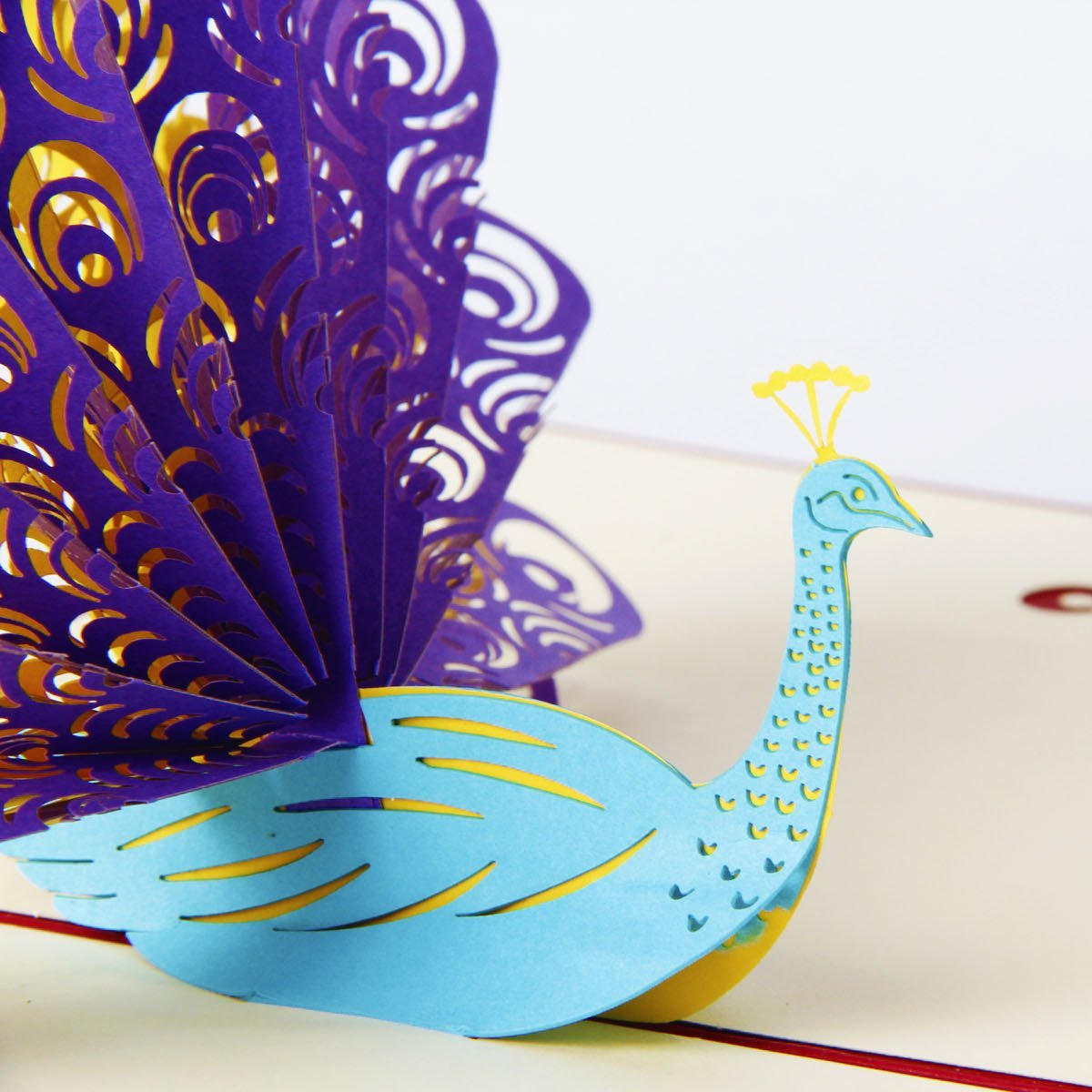 3D Peacock Pop Up Card and Envelope