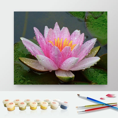 DIY Paint by Numbers Canvas Painting Kit - Pink Lotus