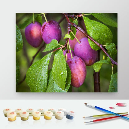 DIY Paint by Numbers Canvas Painting Kit - Blooming Plums