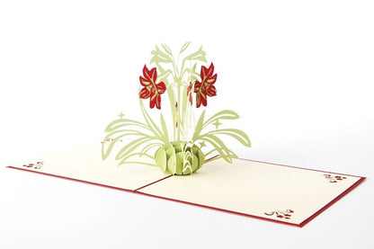 3D Valentine's Day Red Flower Bouquet Pop Up Card and Envelope