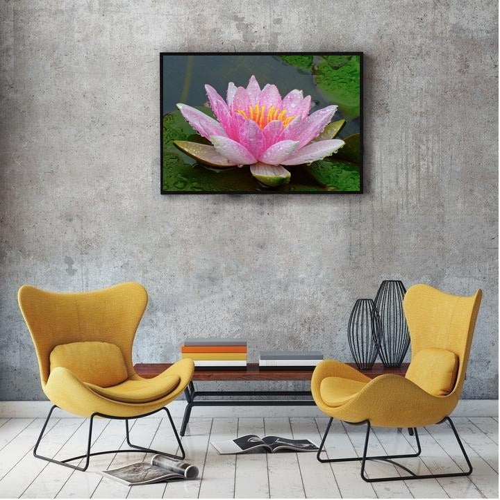 DIY Paint by Numbers Canvas Painting Kit - Pink Lotus